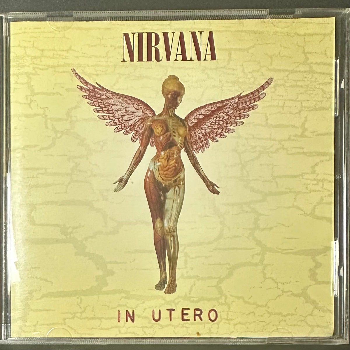 Nirvana 