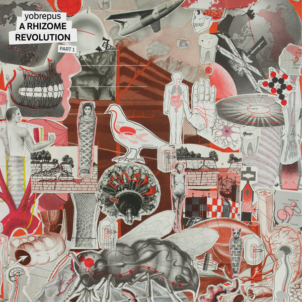Yobrepus "A Rhizome Revolution Part 1" LP (NEW RELEASE)
