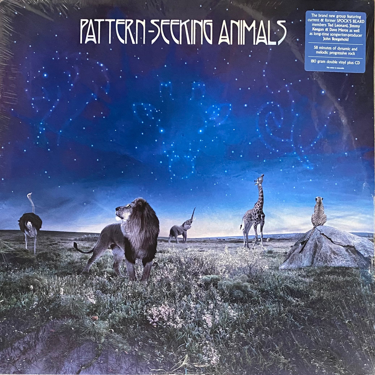 Pattern-Seeking Animals Pattern-Seeking Animals 2LP/CD – The Band Wagon  USA