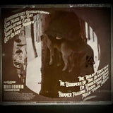Ping "The ZigZag Manoeuvre" CD
