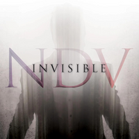 Nick D'Virgilio (NDV) "Invisible" CD