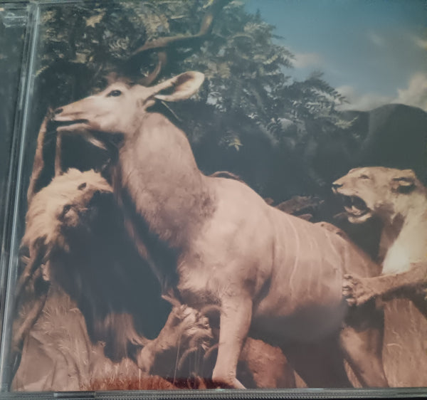 Interpol "Our Love to Admire" Used CD