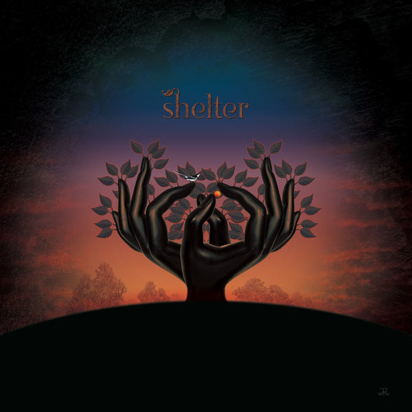 Laughing Stock "Shelter" CD (NEW RELEASE)