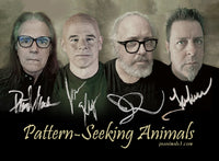 Pattern-Seeking Animals "Friend of All Creatures" CD (NEW RELEASE)