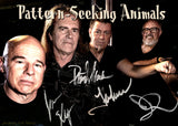 Pattern-Seeking Animals "Grimalkin" CD (PRE-ORDER)
