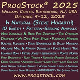 ProgStock 2025 Festival Burgundy T-Shirt (BACK IN STOCK)