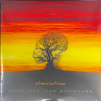 Discipline "Unfolded Like Staircase" 2022 Terry Brown Remix 2LP