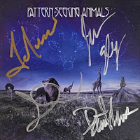 Pattern-Seeking Animals "Only Passing Through" 2LP/CD (BACK IN STOCK)