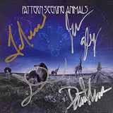 Pattern-Seeking Animals "Only Passing Through" CD