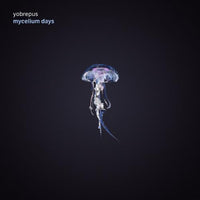 Yobrepus "Mycelium Days" Black LP